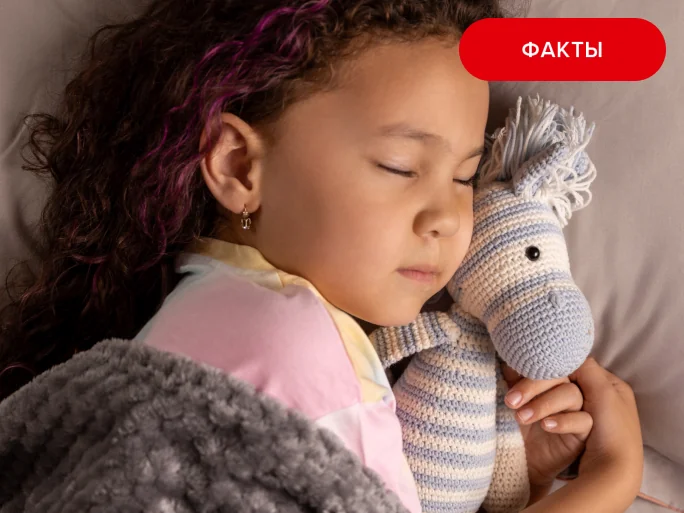 Тишина в доме - роскошь, которую можно купить