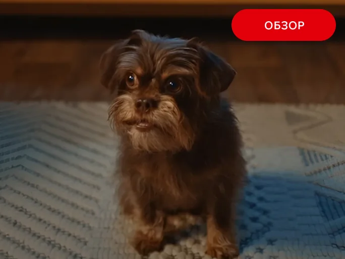 Теплоизоляция пола: как сделать дом комфортным